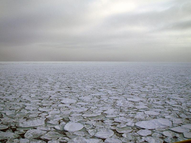 Pancake ice landscape 2.jpg - OLYMPUS DIGITAL CAMERA